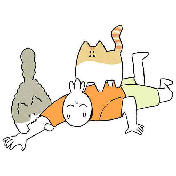 レオとシロウのドタバタ猫日記