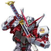 機動戦士ガンダムSEED ASTRAY 天空の皇女