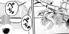 【読切】ゆず 特別読切