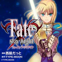 Fate/stay night